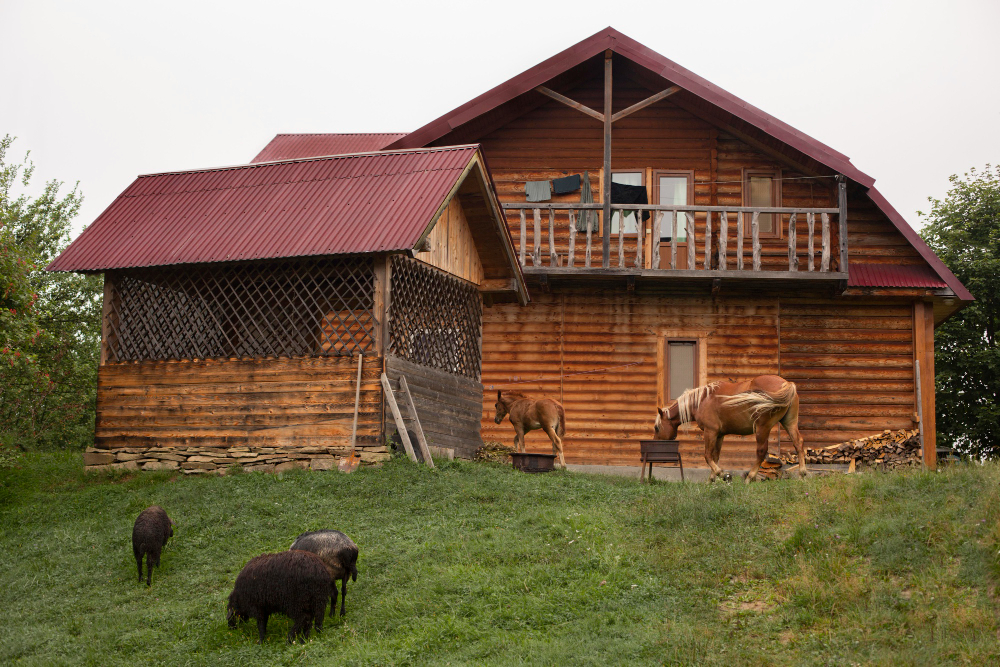 The Rise Of Tiny Homes In Real Estate Is Growing Faster Now